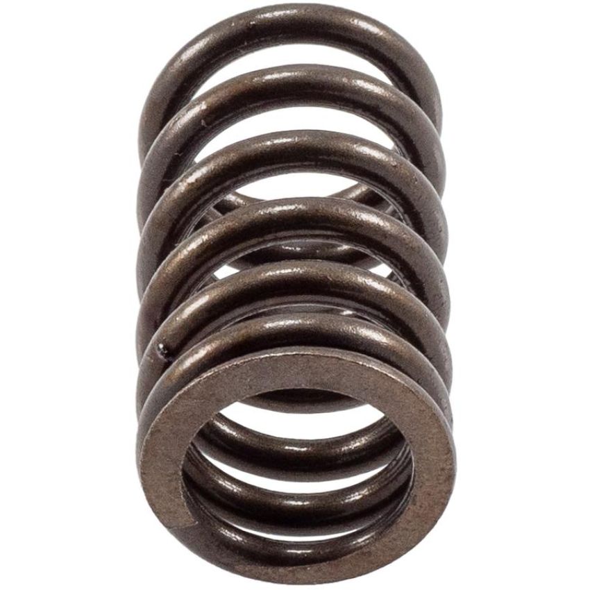 Melling VS-110 Stock Replacement Valve Spring