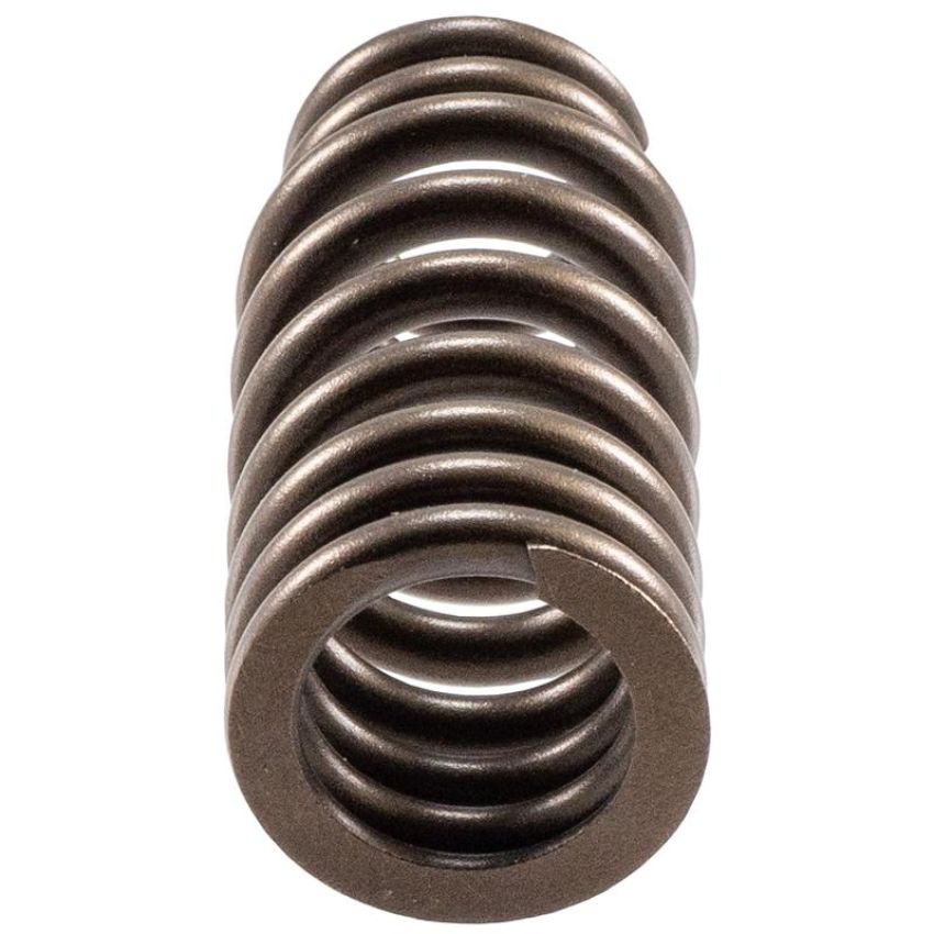 Melling VS-1615 Stock Replacement Valve Spring