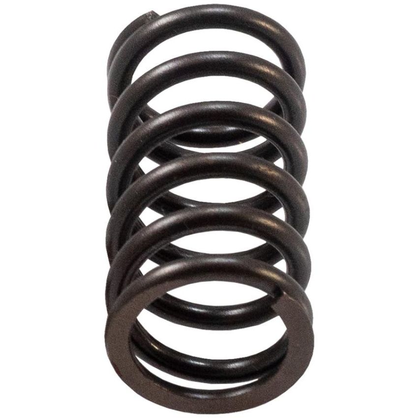 Melling VS-1646 Stock Replacement Valve Spring