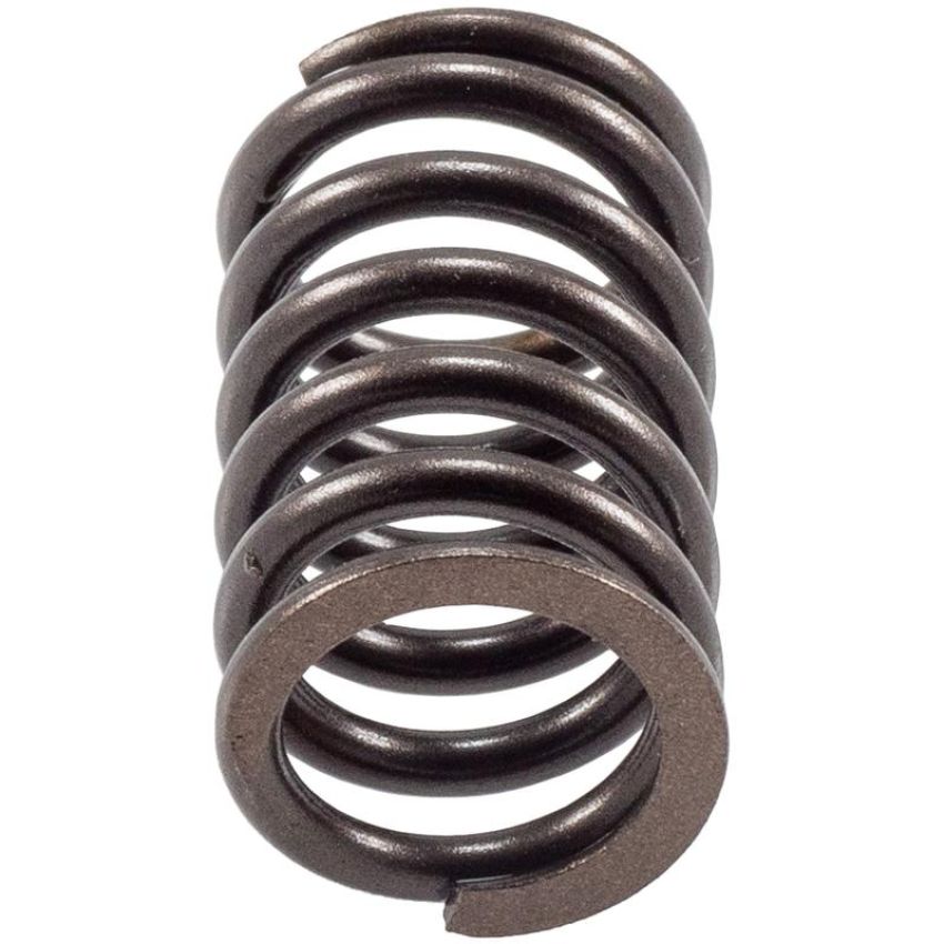 Melling VS-310 Stock Replacement Valve Spring