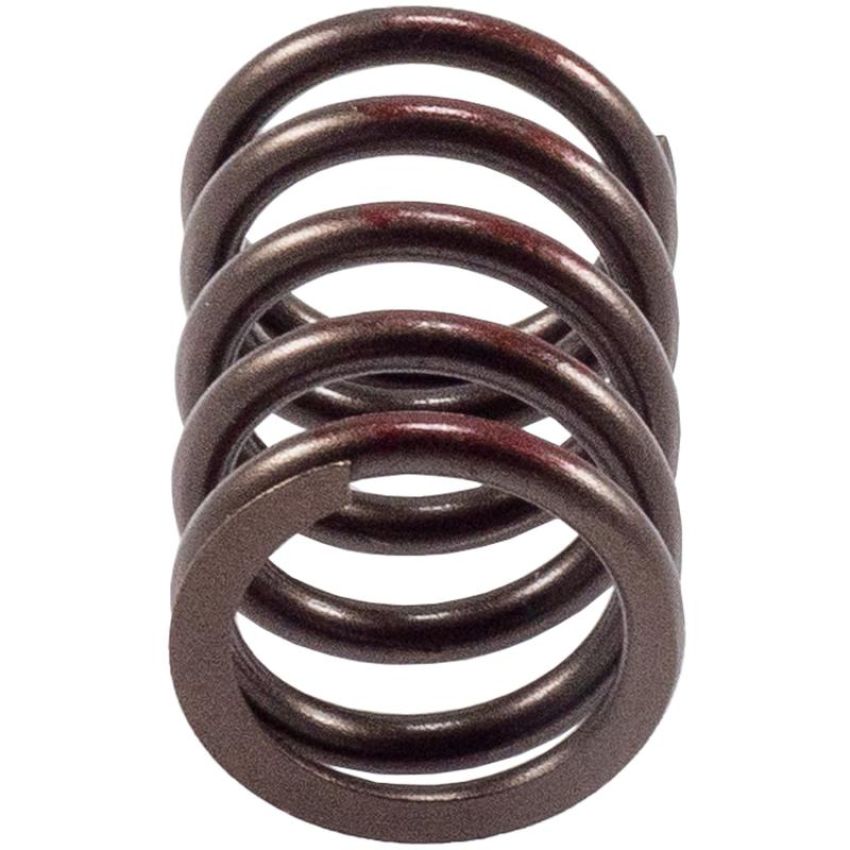 Melling VS-450 Stock Replacement Valve Spring