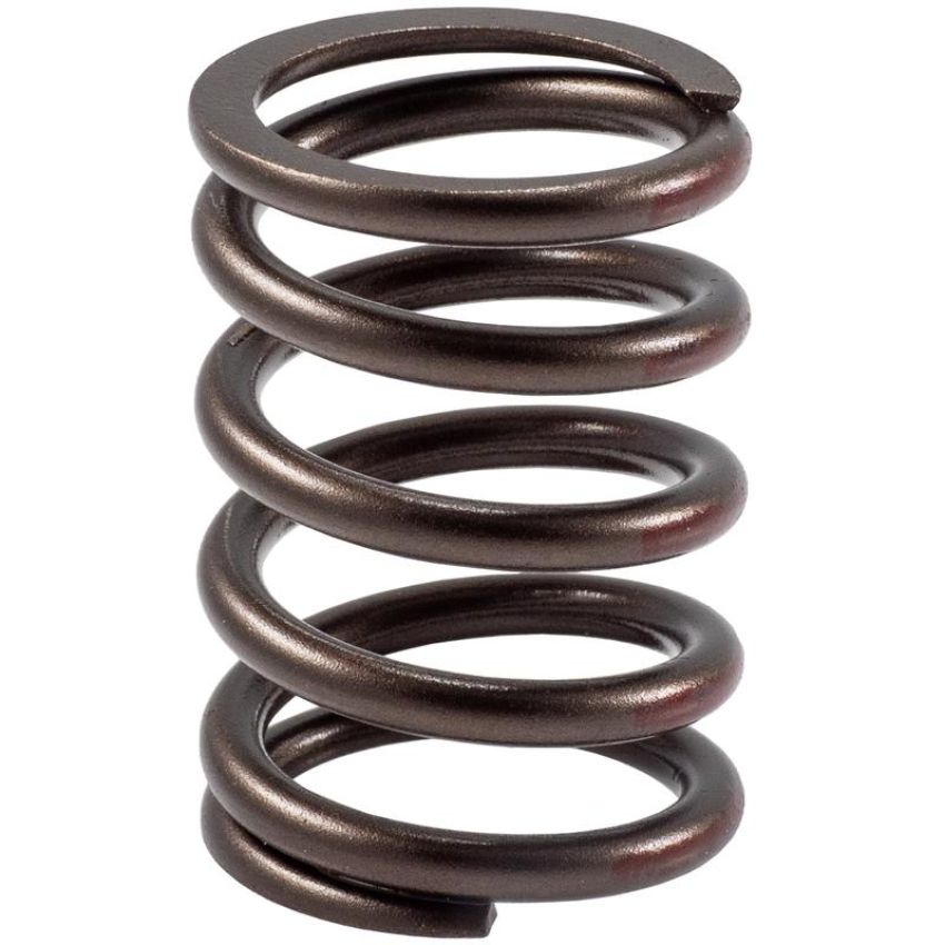 Melling VS-450 Stock Replacement Valve Spring