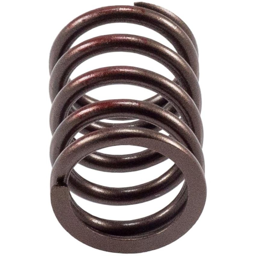 Melling VS-450 Stock Replacement Valve Spring