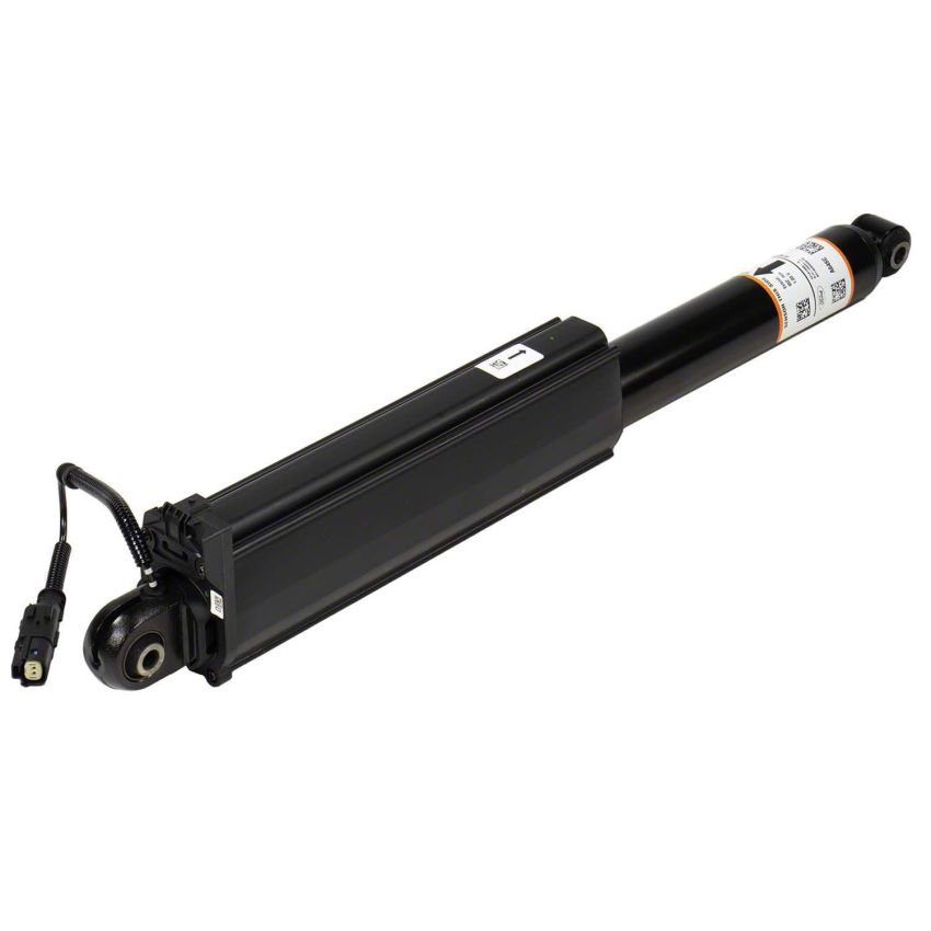 Motorcraft Shocks and Struts ML3Z18125BB