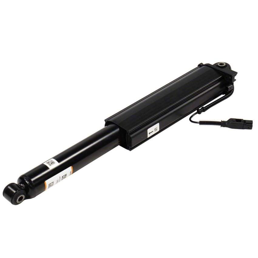 Motorcraft Shocks and Struts ML3Z18125BB