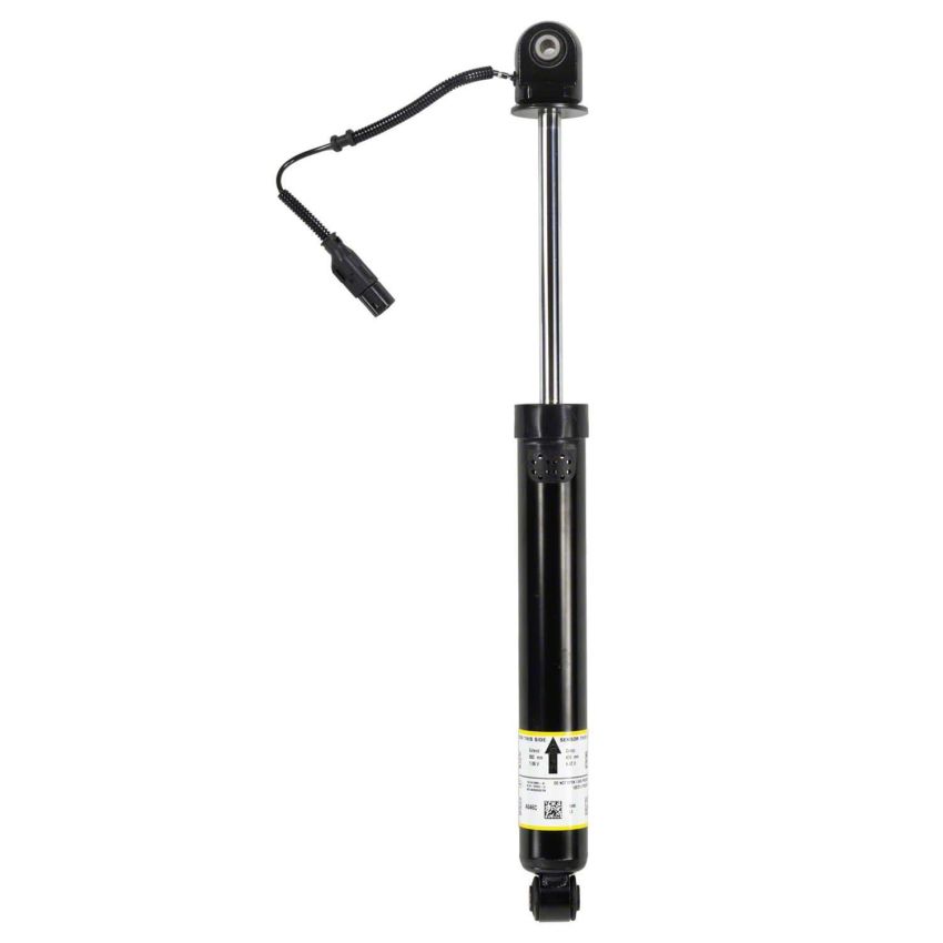 Motorcraft Shocks and Struts for 2022-2024 F-150 - ML3Z18125BC