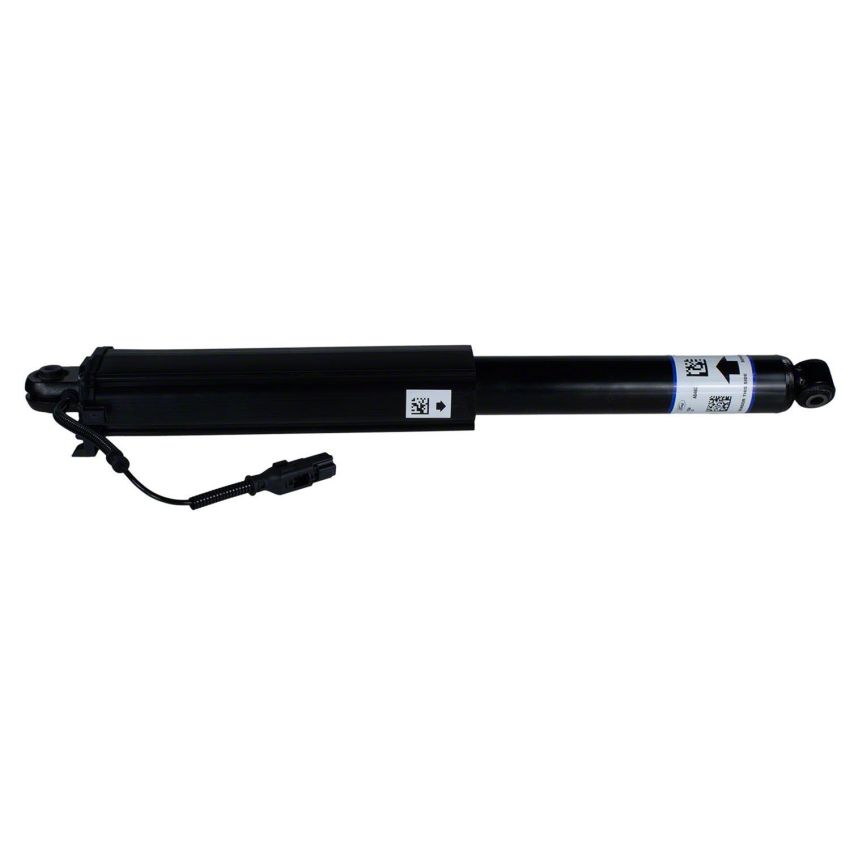 Motorcraft Shocks and Struts for 2021-2024 F-150 - ML3Z18125BD