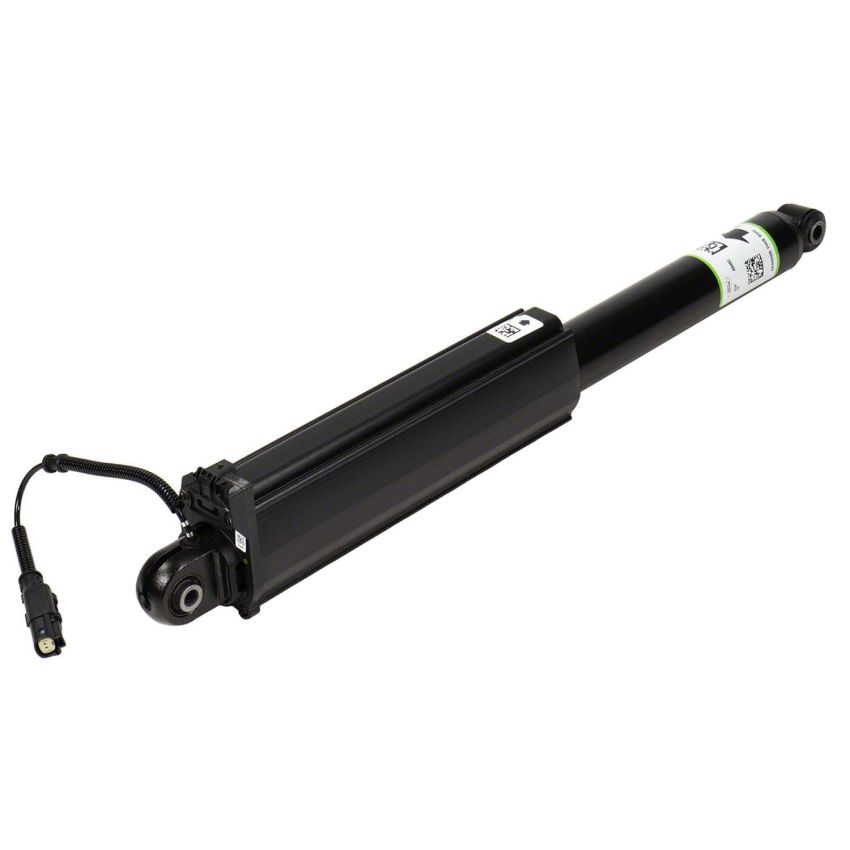 Motorcraft Shocks and Struts for 2021-2024 F-150 - ML3Z18125BE