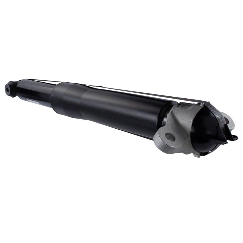 Motorcraft Shocks and Struts for 2020-2024 ESCAPE - LX6Z18125BT
