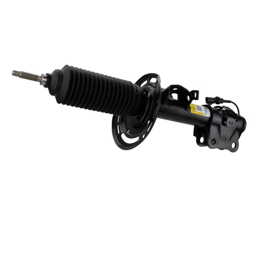 Motorcraft Shocks and Struts KR3Z18124C