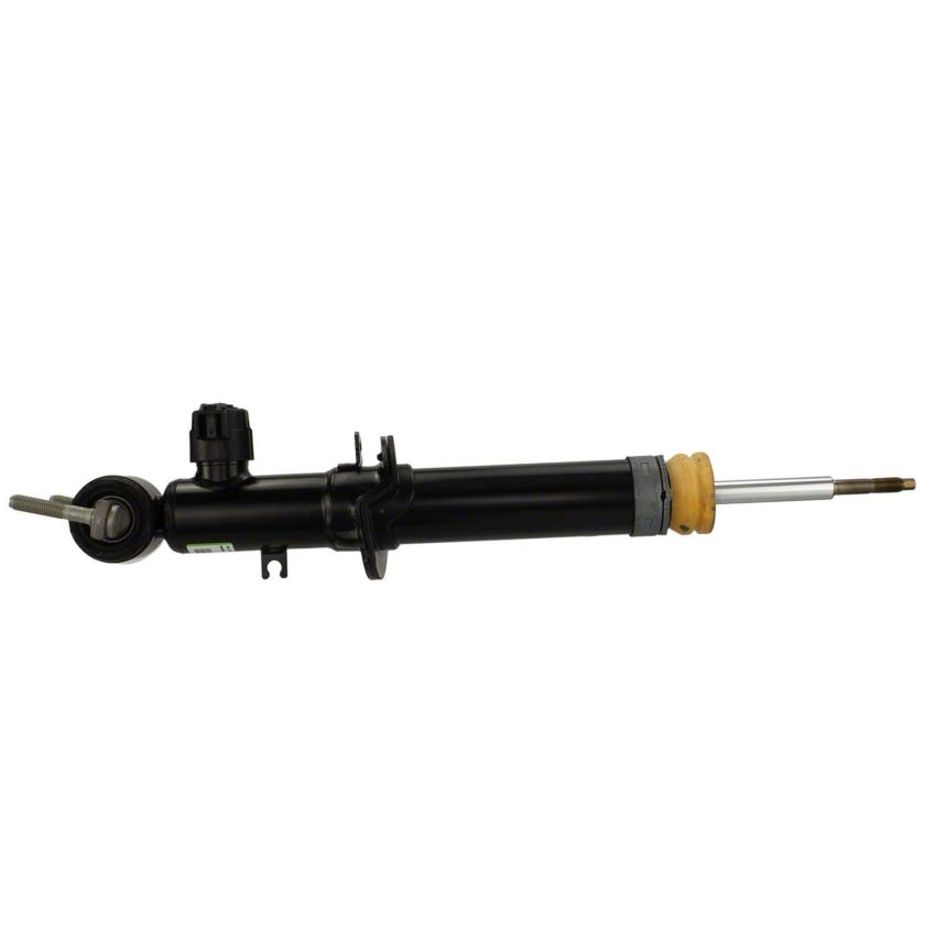 Motorcraft Shocks and Struts for 2021-2024 F-150 - ML3Z18124AD