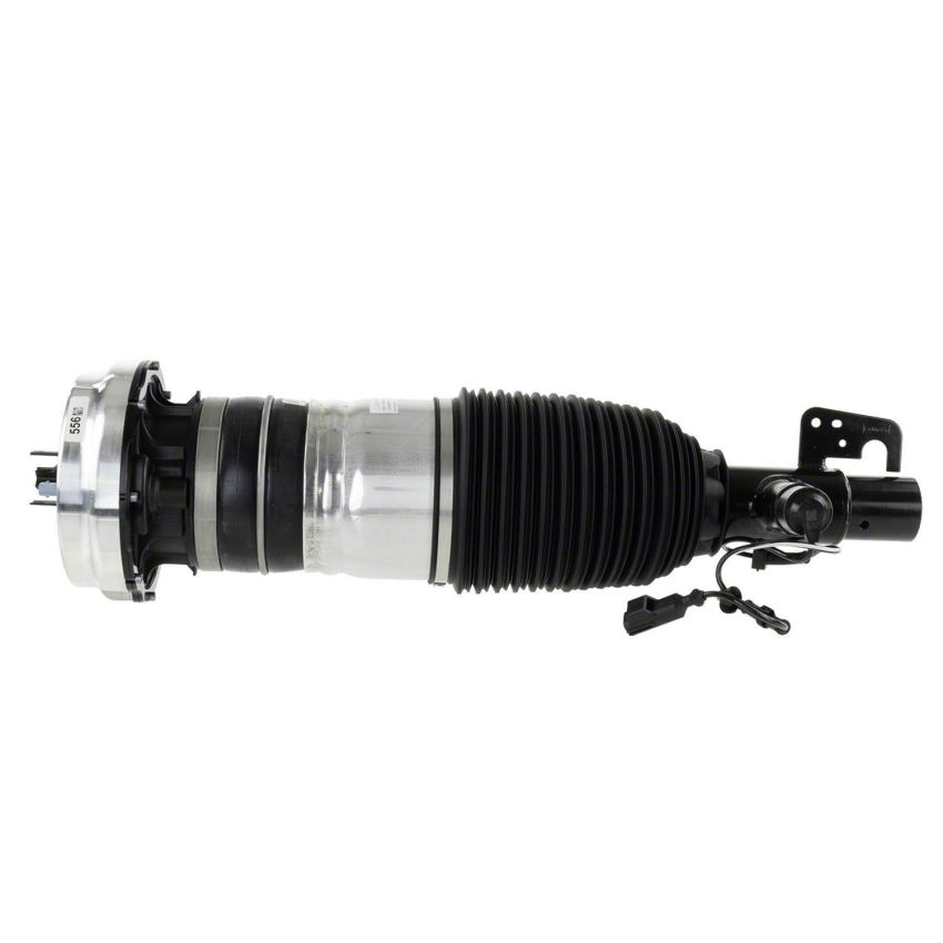 Motorcraft Coil Springs LC5Z3C098E