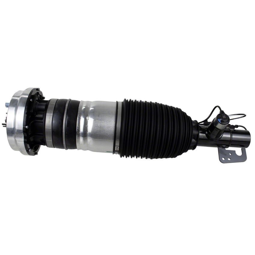 Motorcraft Coil Springs LC5Z3C098F