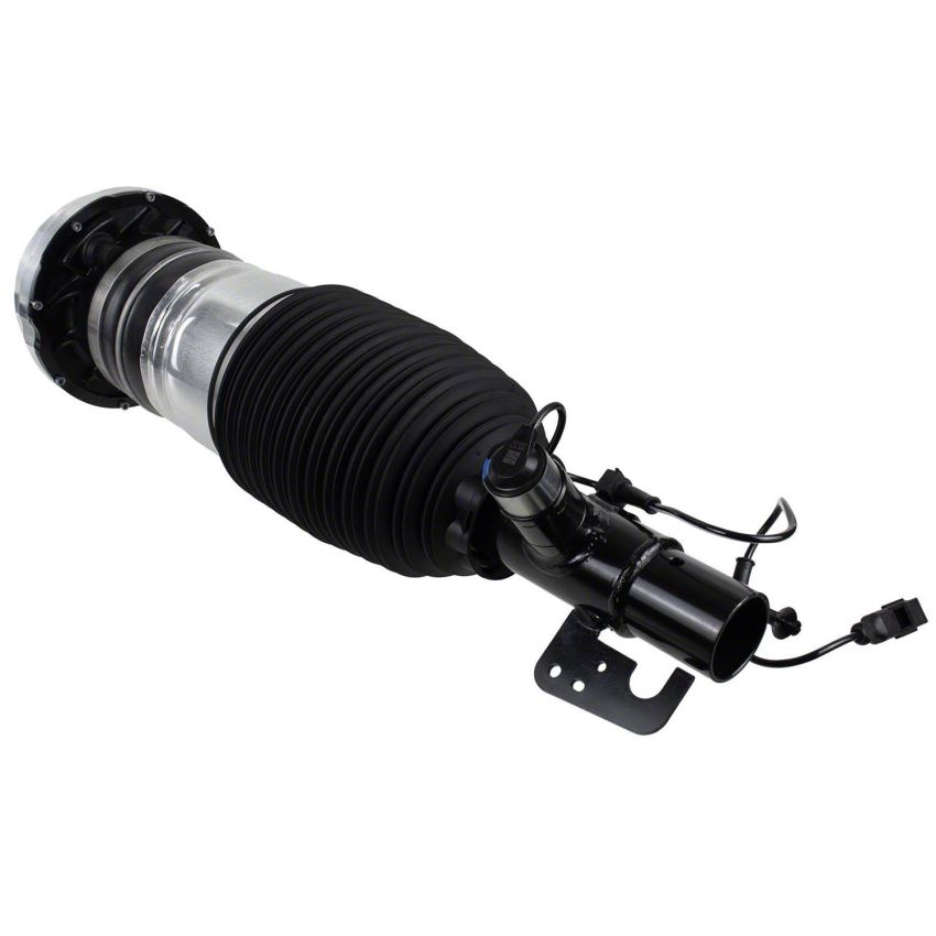 Motorcraft Coil Springs LC5Z3C098F