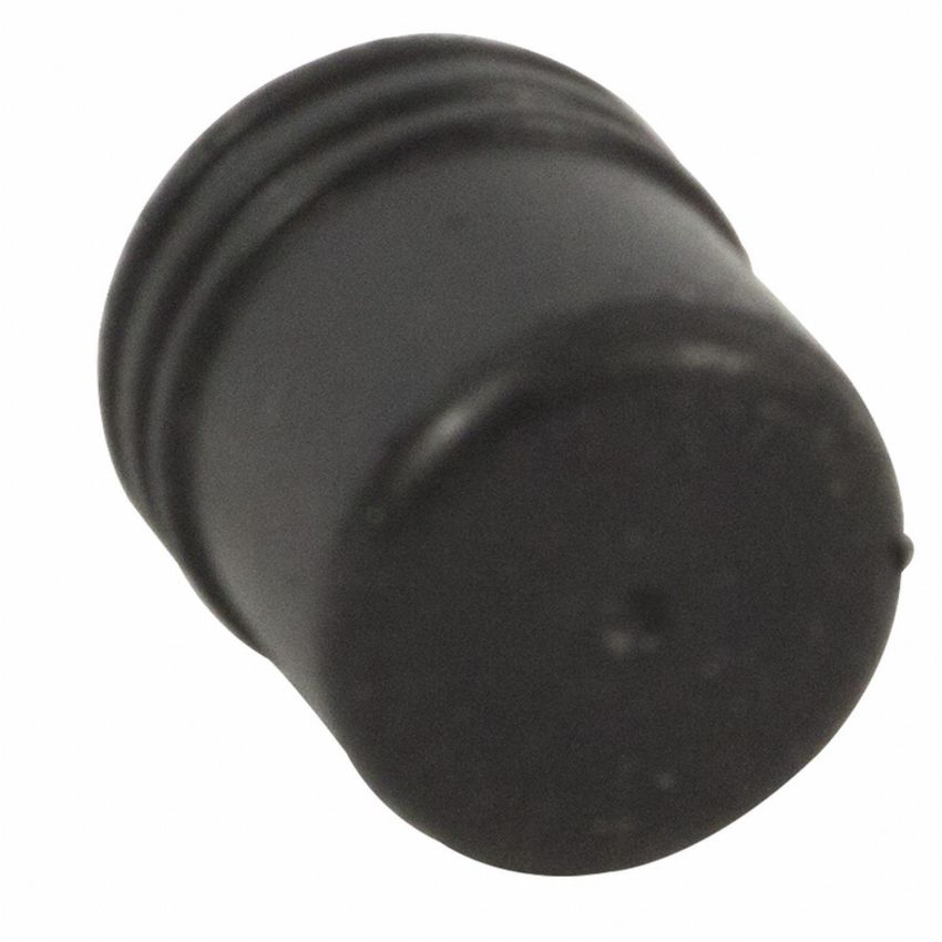 Motorcraft Brake Bleeder Screws DG1Z2208A
