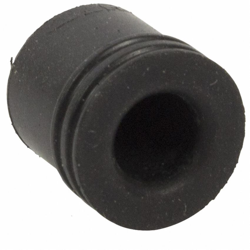 Motorcraft Brake Bleeder Screws DG1Z2208A