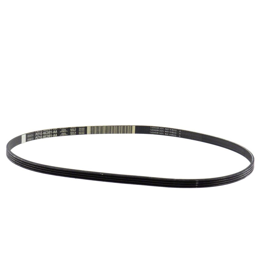 Motorcraft Accessory Belts for 2023-2024 CORSAIR, ESCAPE - PZ1Z8620C