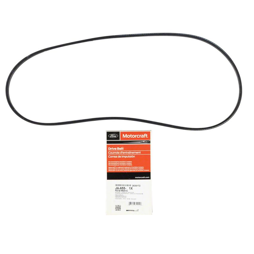 Motorcraft Accessory Belts for 2023-2024 CORSAIR, ESCAPE - PZ1Z8620C