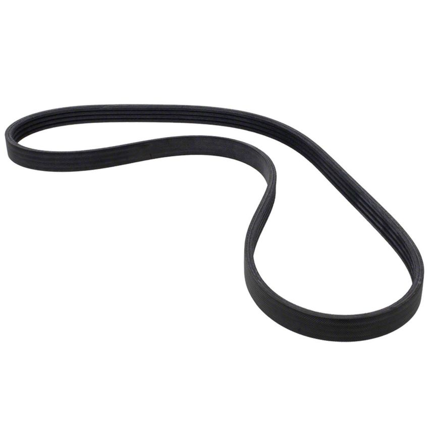 Motorcraft Accessory Belts JX6Z8620H