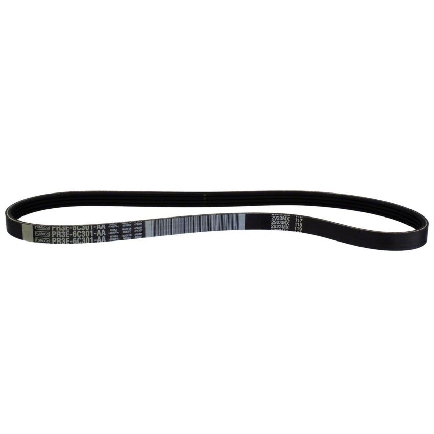 Motorcraft Accessory Belts for 2024 MUSTANG - PR3Z8620B