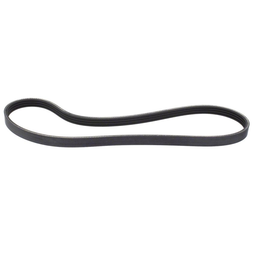 Motorcraft Accessory Belts for 2024 MUSTANG - PR3Z8620B