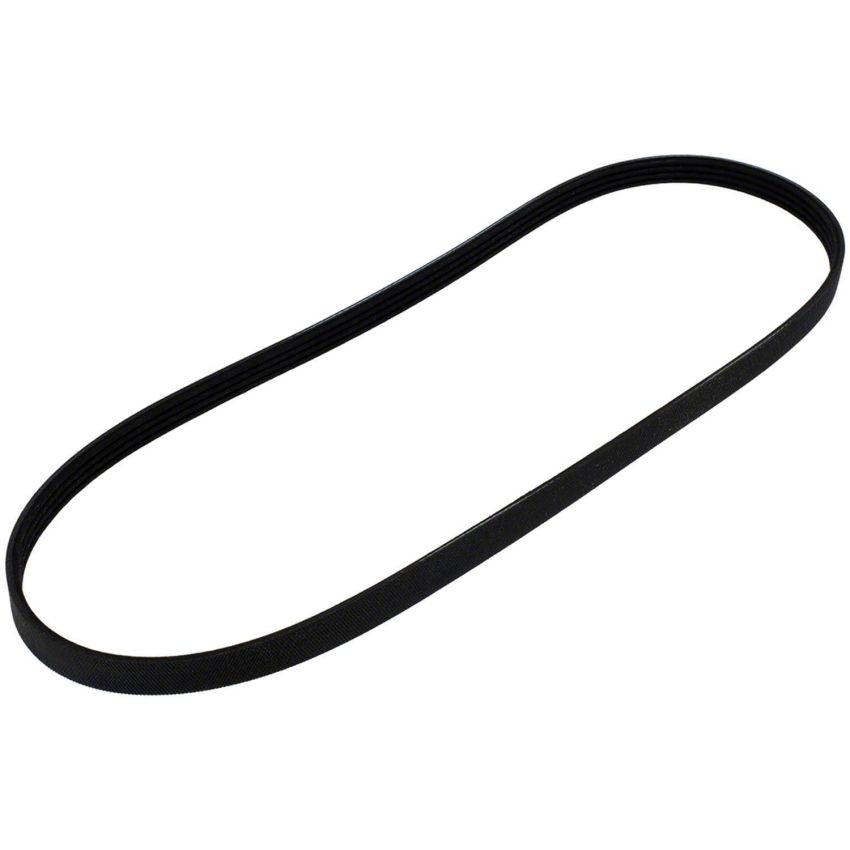 Motorcraft Accessory Belts for 2024 MUSTANG - PR3Z8620A