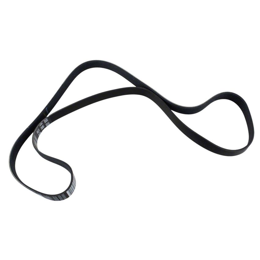 Motorcraft Accessory Belts for 2022-2023 EXPLORER, POLICE INTERCEPTOR UTILITY - L1MZ8620H