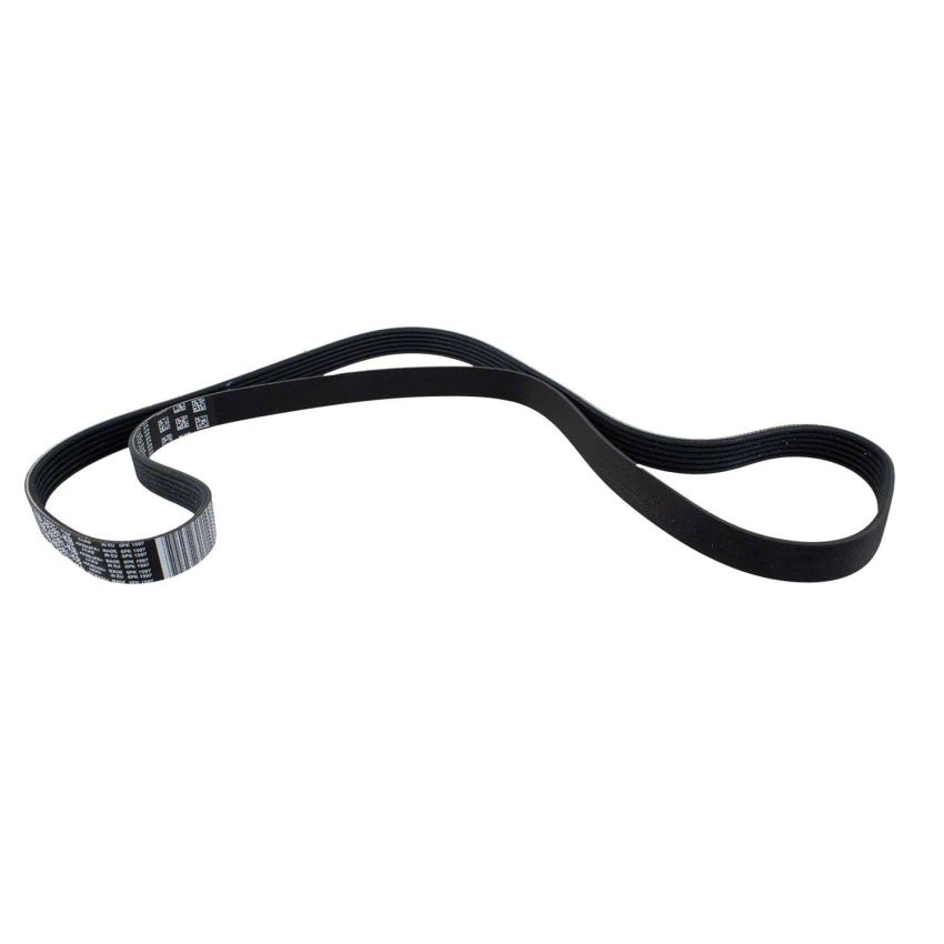 Motorcraft Accessory Belts for 2022-2023 EXPLORER, POLICE INTERCEPTOR UTILITY - L1MZ8620H
