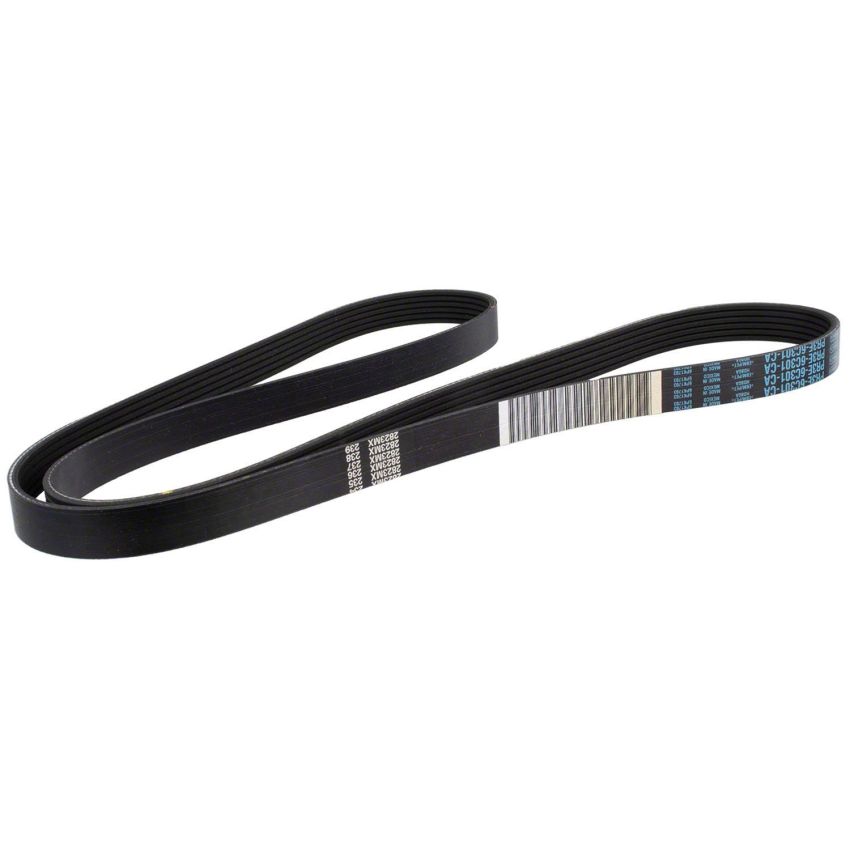 Motorcraft Accessory Belts for 2024 MUSTANG - PR3Z8620C