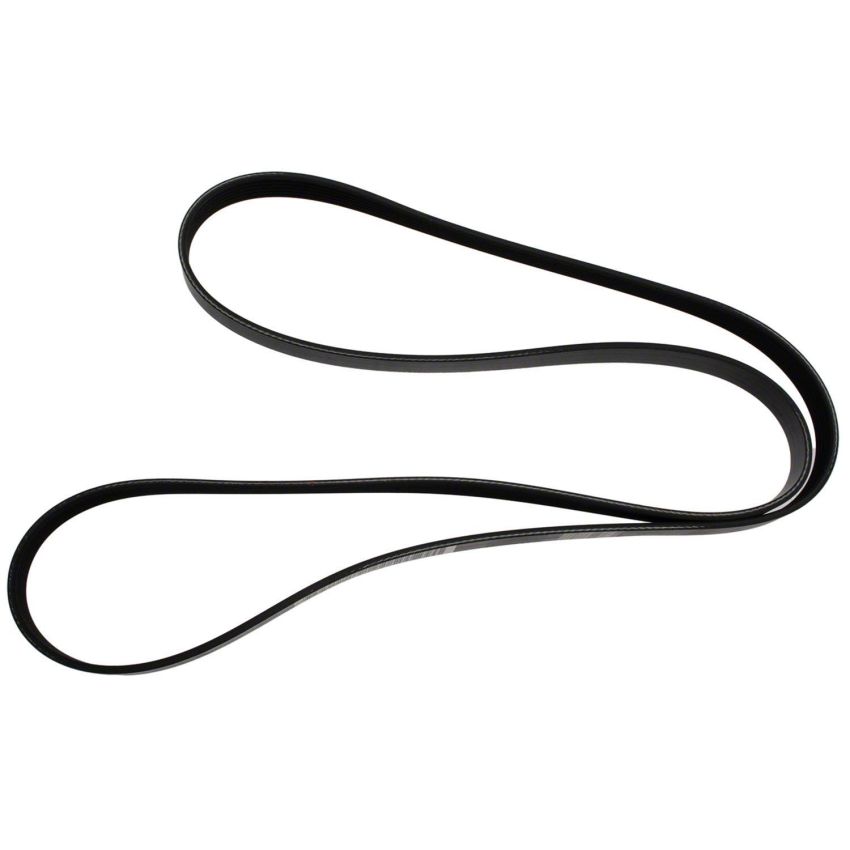 Motorcraft Accessory Belts for 2024 MUSTANG - PR3Z8620C