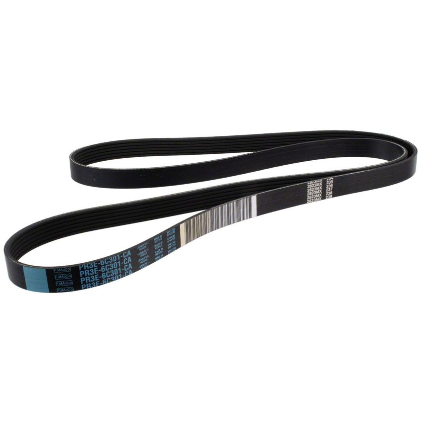 Motorcraft Accessory Belts for 2024 MUSTANG - PR3Z8620C