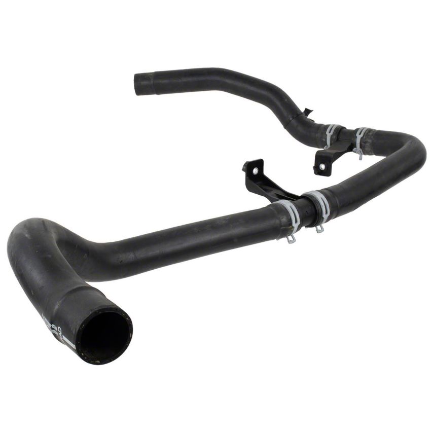 Motorcraft Radiator Hoses for 2024 MUSTANG - PR3Z8260A