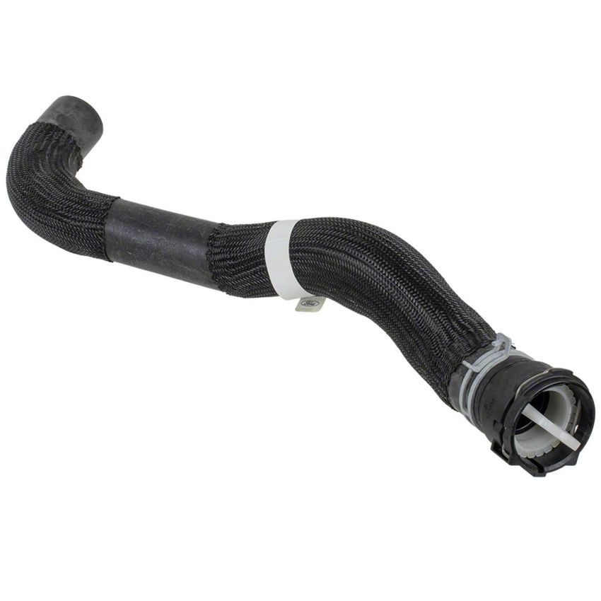 Motorcraft Radiator Hoses for 2024 MUSTANG - PR3Z8260B