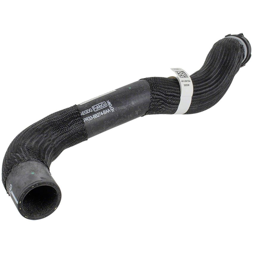 Motorcraft Radiator Hoses for 2024 MUSTANG - PR3Z8260B