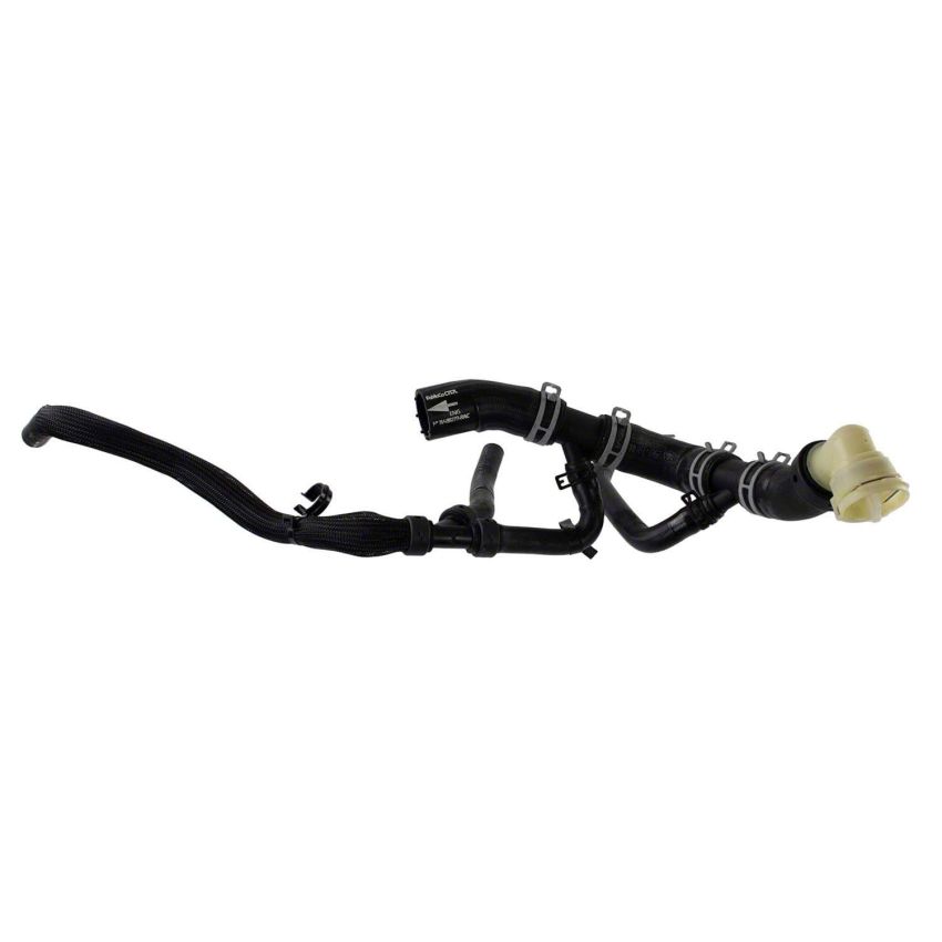 Motorcraft Radiator Hoses for 2022-2024 F-150 - NL3Z8286C