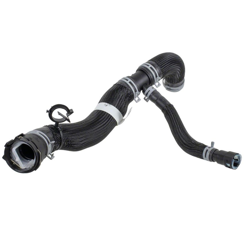 Motorcraft Radiator Hoses for 2024 MUSTANG - PR3Z8260D