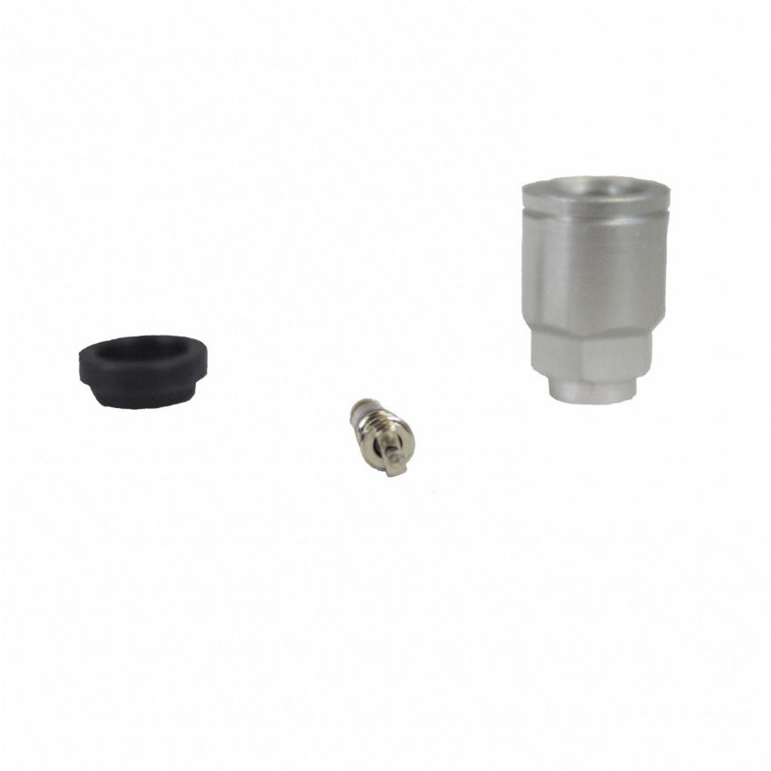 Motorcraft Tire Pressure Monitoring Replacement Sensor Valves 2L2Z1565AA