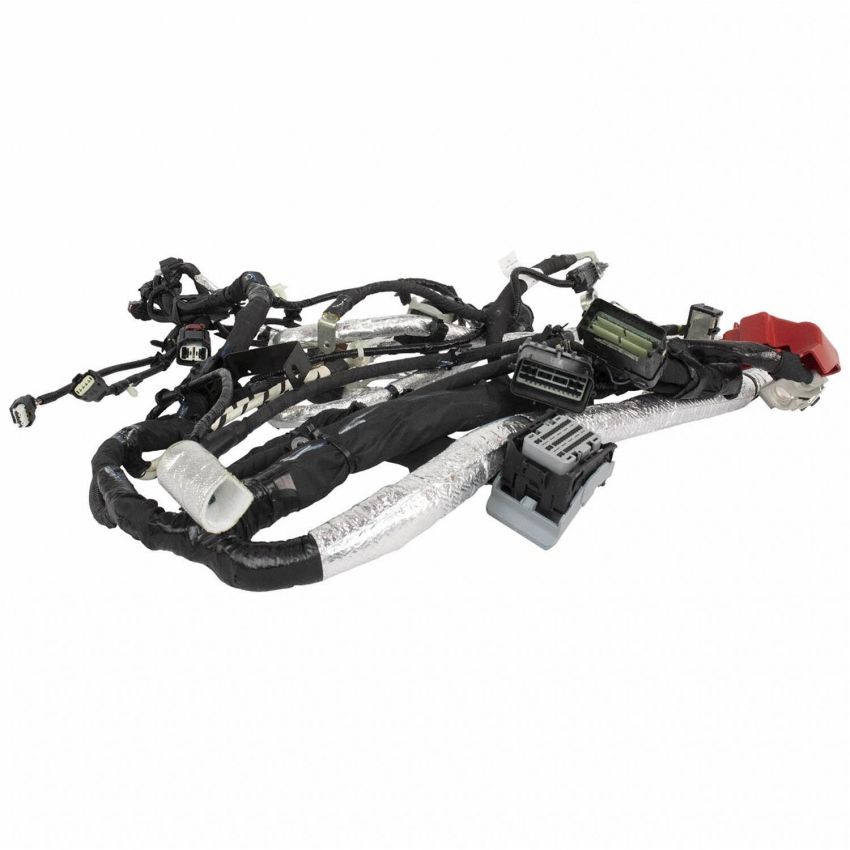 Motorcraft Direct-Fit Battery Cables for 2020-2024 EXPLORER - L1MZ14300BE