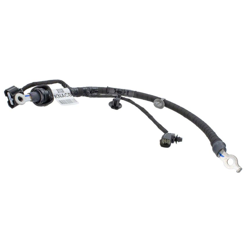 Motorcraft Direct-Fit Battery Cables for 2023-2024 ESCAPE - PZ1Z14300G