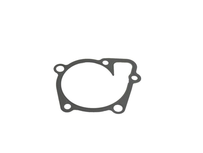 Mopar 68046028AA GASKET, Water Pump
