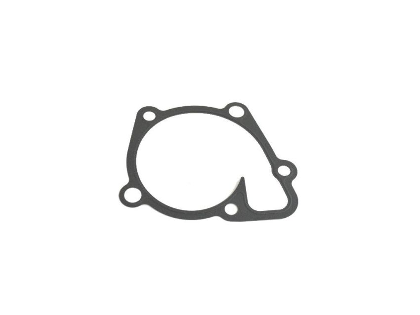 Mopar 68046028AA GASKET, Water Pump