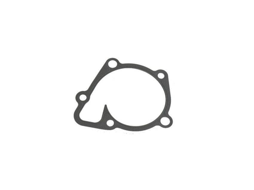 Mopar 68046028AA GASKET, Water Pump