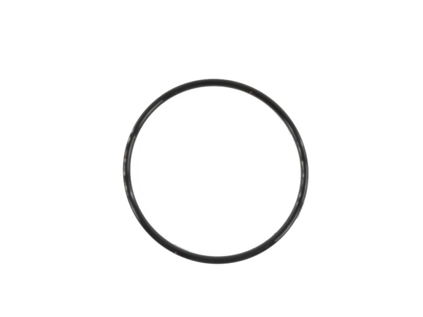 Mopar 68101172AA O RING, Urea Module