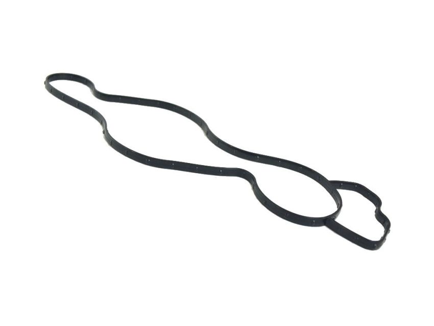 Mopar 68165890AA GASKET, Water Pump