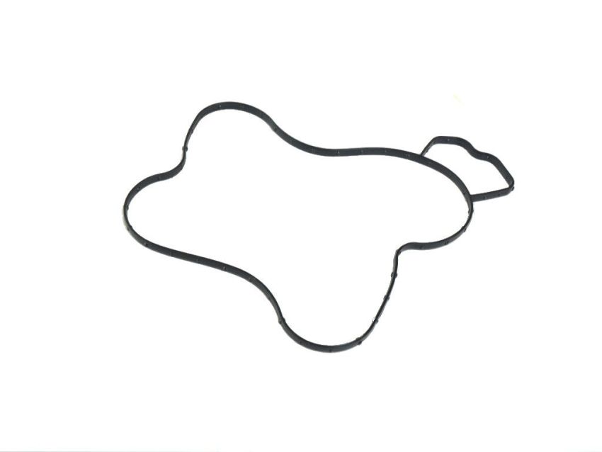 Mopar 68165890AA GASKET, Water Pump