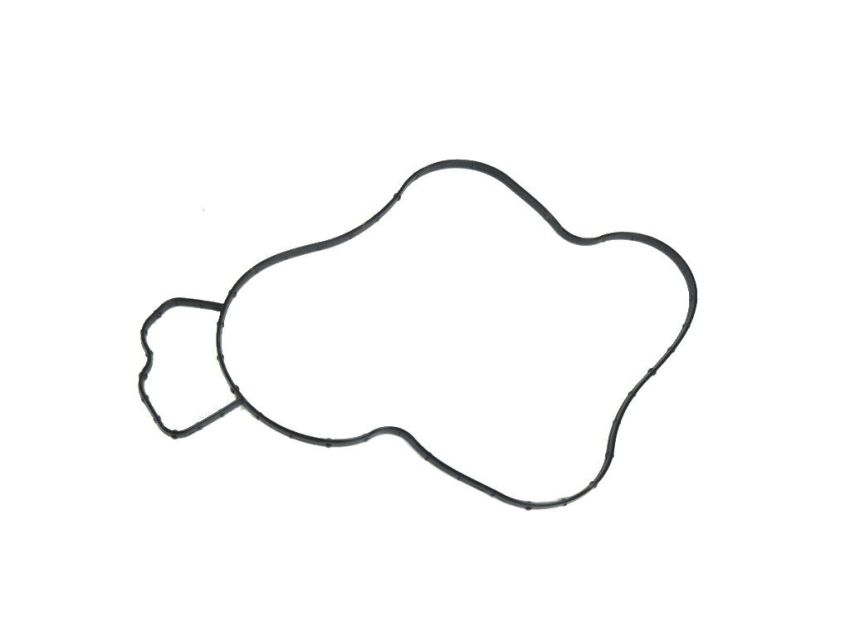 Mopar 68165890AA GASKET, Water Pump
