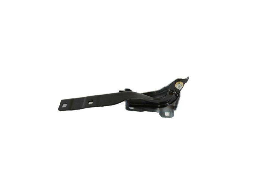 Mopar 68244074AA HINGE, Hood