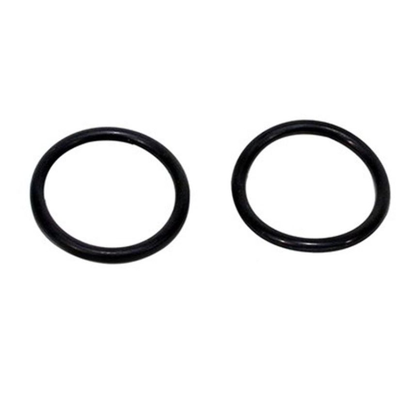 MTC VP309 Flame Trap O-Ring