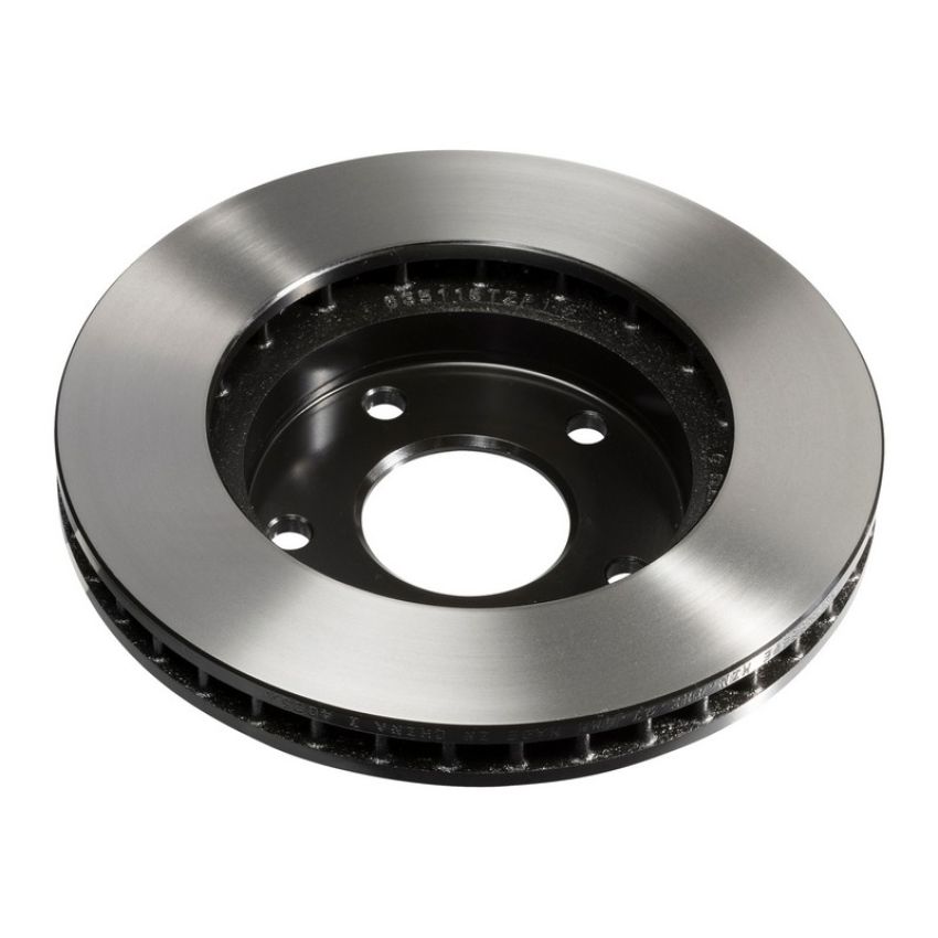 Wagner Brake BD125559E Disc Brake Rotor