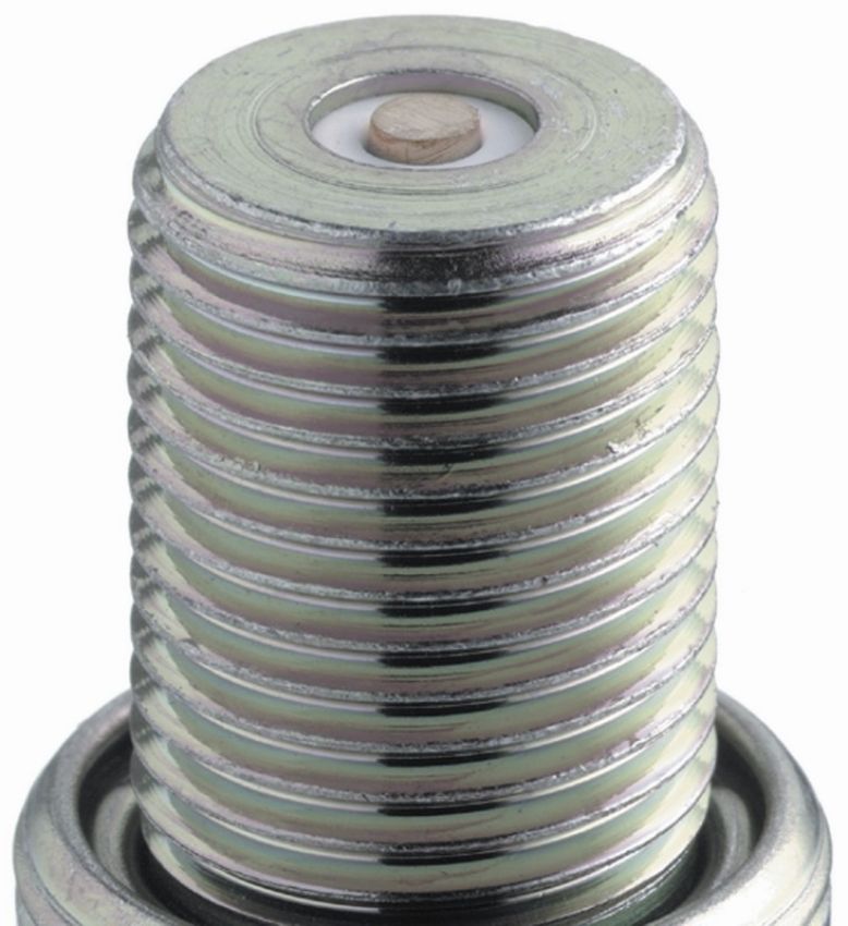 NGK 4017 NGK Racing Spark Plug